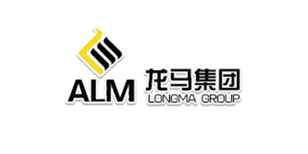 山东龙马控股集团有限公司 